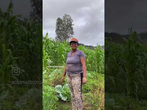 https://youtube.com/shorts/CbzID2Tko10?si=yl3GBB4r94zv6TiG