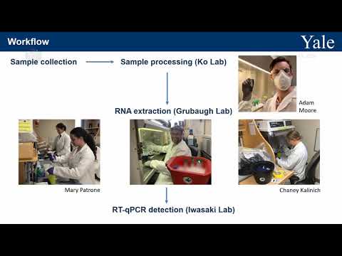 SalivaDirect: simple & sensitive molecular diagnostic test for SARS-CoV-2 surveillance