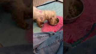 The journey has begun for sweet Simon The journey has begun for sweet Simon