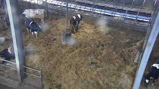 Hemme Milch Uckermark Farm