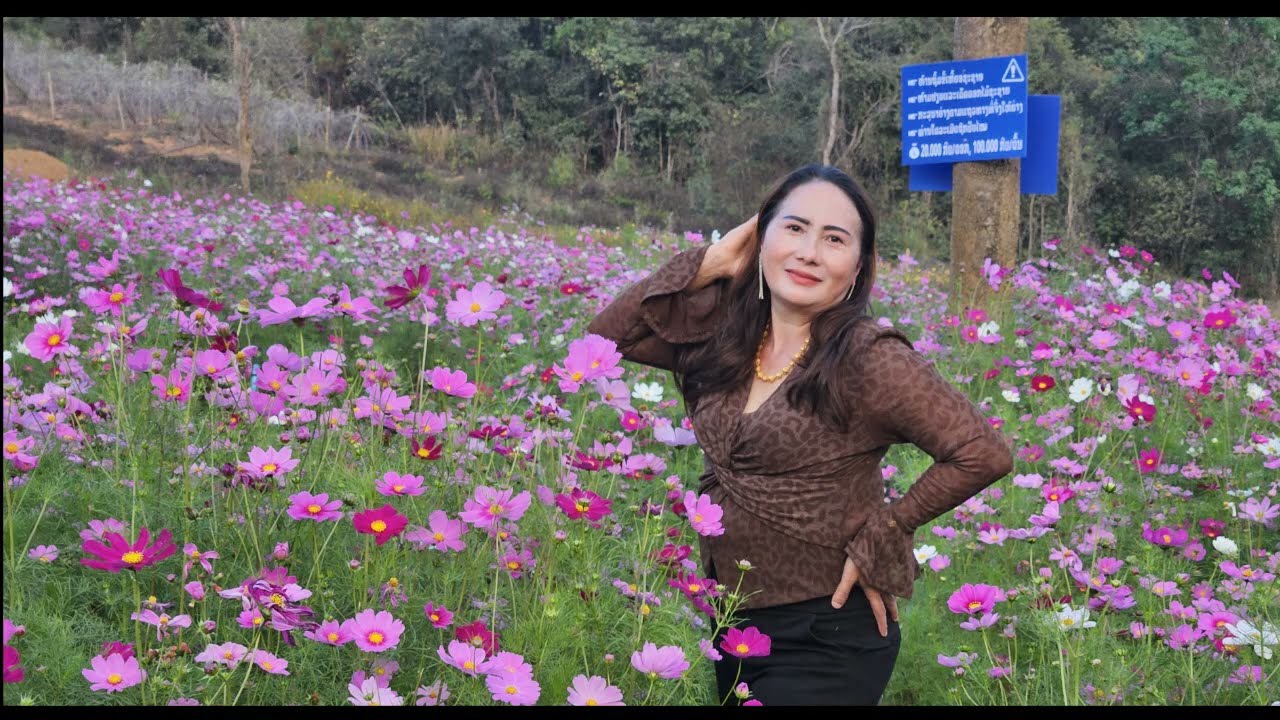 Ntais cov poj niam tsab nte/3/29/2026