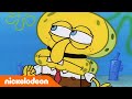 SpongeBob SquarePants | De dag van tegenstellingen | Nickelodeon Nederlands