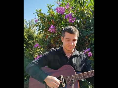 REFLEXÃO MUSICAL - ANDO DEVAGAR - EDUARDO GIBELLI