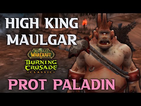 High King Maulgar - TBC Classic - Protection Paladin POV | Please Taunt - Arugal