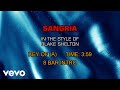 Blake Shelton - Sangria (Karaoke)
