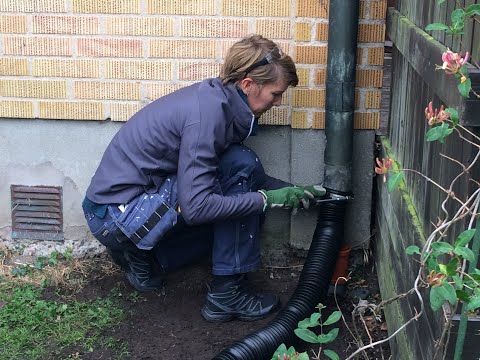 Led ut regnvatten i trädgården med flexibelt rör