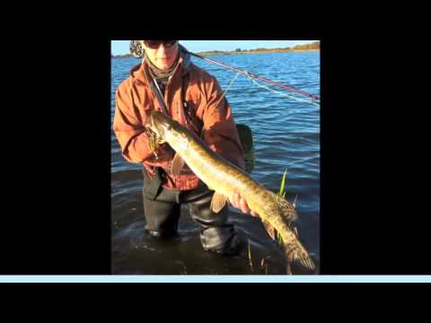 JNS Fishing Team 25-10-2015