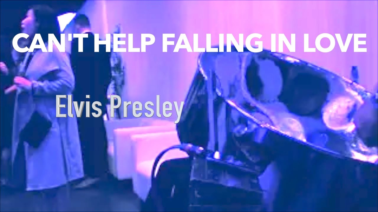 Hire Steeldrum Hu Steel Drum Player in Barrie, Ontario