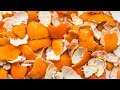 10 Reasons You Should Start Collecting Orange Peels