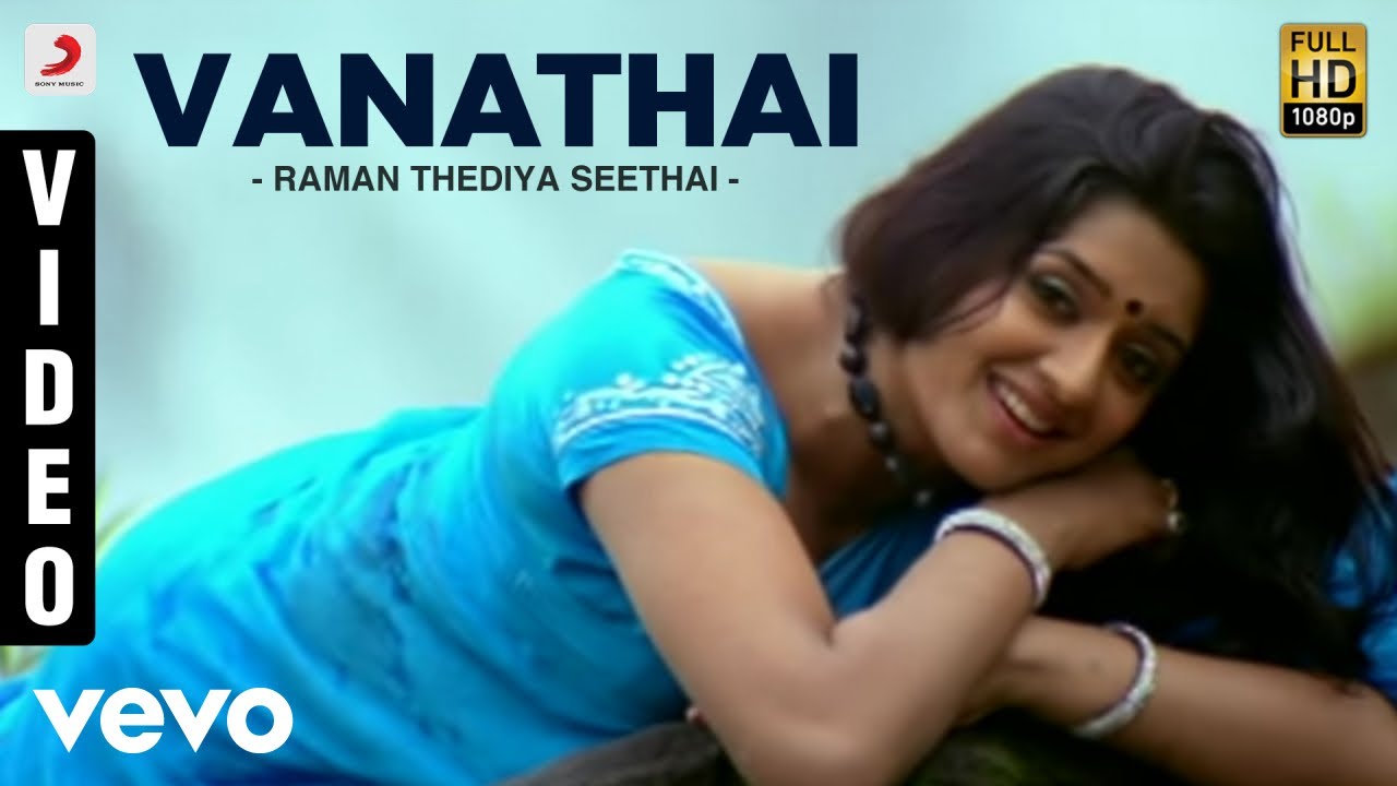 Vanathai Vittu Vittu Song Lyrics | Raman Thediya Seethai |  Tippu