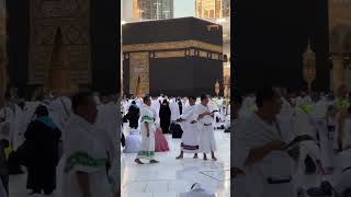 Download lagu Mula ya swalai wasali dayeman #beautiful #muslimpilgrimage #virelvideo #love #islamicpilgrimage mp3