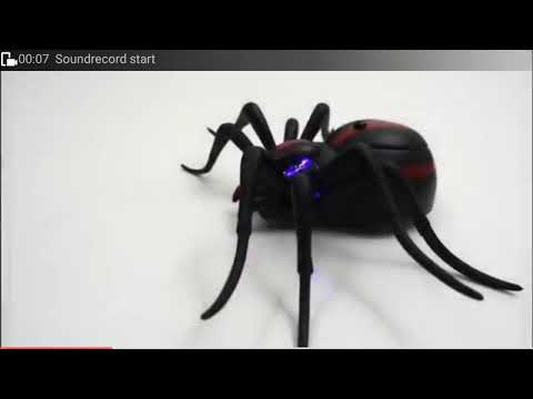Smart Cockroach Spider Ant Prank
