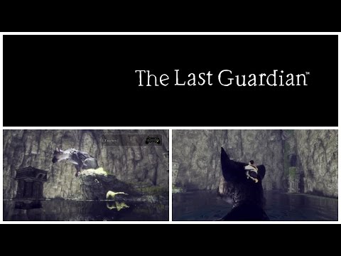 The Last Guardian "Swimming with Trico"