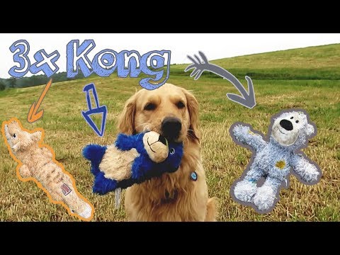 download lagu mp3 mp4 Kong Scrunch Knots Squirrel, download lagu Kong Scrunch Knots Squirrel gratis, unduh video klip Kong Scrunch Knots Squirrel