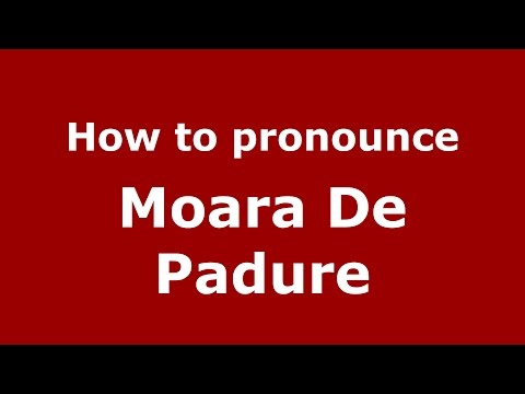 How to pronounce Moara De Padure (Romanian/Romania)  - PronounceNames.com