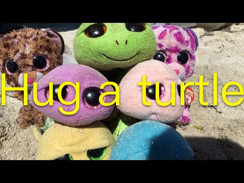 Beanie boos music videos hug a turtle