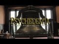 Documentary Drugs - Psychedemia