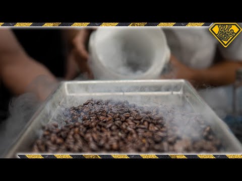 Coffee Beans at -346 °F Has an Unexpected Flavor