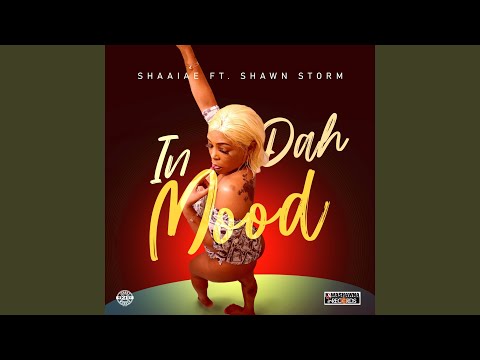 In Da Mood (feat. Shawn Storm)