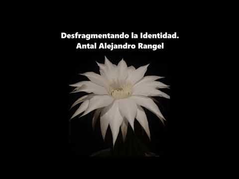 Desfragmentando la Identidad