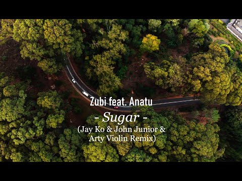 Zubi feat. Anatu - Sugar (Jay Ko & John Junior & Arty Violin Remix)