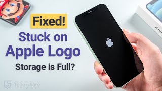 iPhone Stuck on Apple Logo and Storage is Full? 3 Ways to Fix It! (2023)