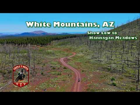 Show Low to Hannagan Meadows