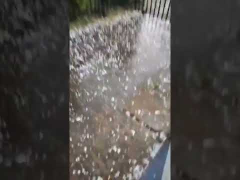 Massive hailstorm hit Loncoche, Cautín Province, in the Araucanía Region, Chile 🇨🇱 (08.11.2025)
