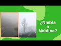 Niebla y Neblina- ¿Qué es? y Diferencia principal