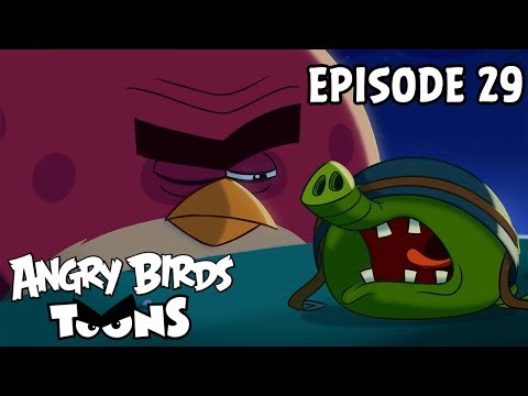 Angry Birds Toons | Nighty Night Terence - S1 Ep29