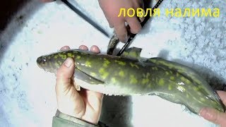 Ссылка