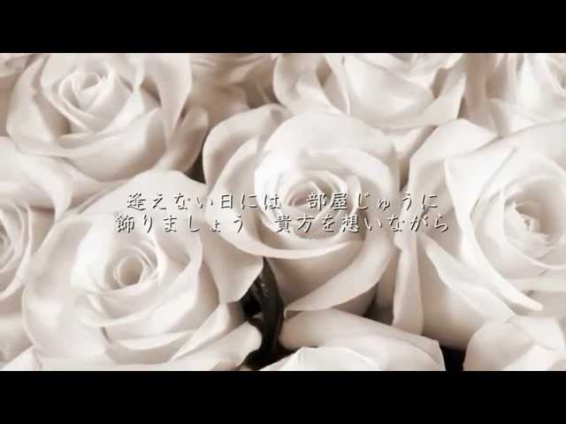 小林明子 恋におちて Fall In Love 歌詞 歌ネット