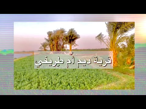 ANOTHER SIDE OF SUDAN