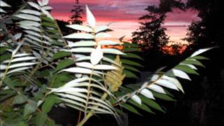 Home- Vanessa Carlton