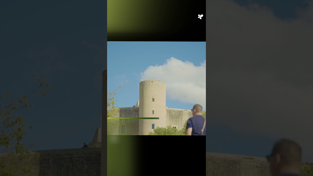 Restauración del entorno forestal del Castillo de Bellver