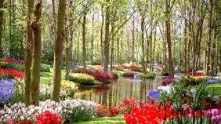 The Fabulous Unexpected-Johnny&#39;s Garden