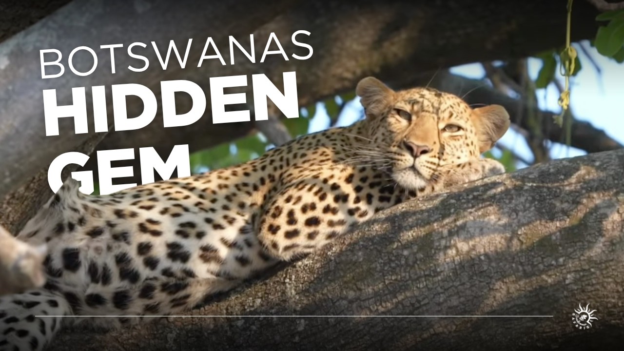 Inside Tawana, Moremi Game Reserve | Full Botswana Safari Lodge Tour