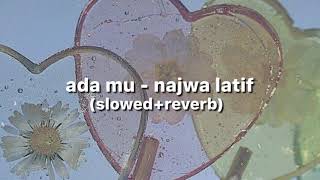 adamu - najwa latif (slowed + reverb)
