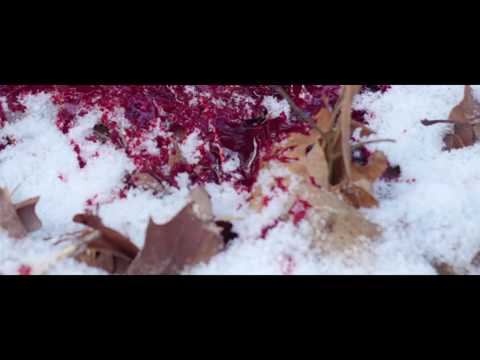 Video thumbnail for Frost Bite