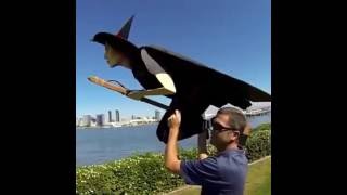 Funny RC Flying Witch