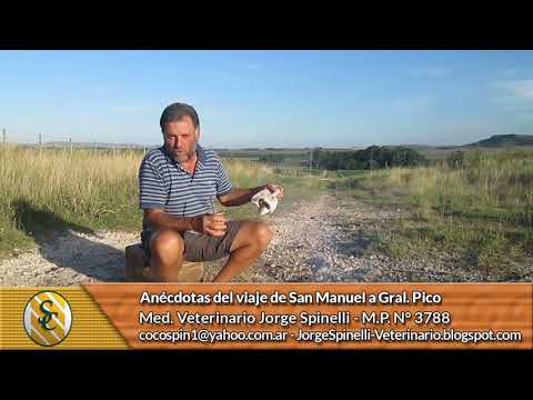 Dr. Jorge Spinelli - Viaje San Manuel a Gral.  Pico
