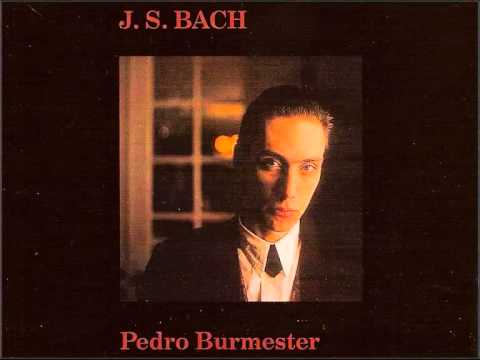 Pedro Burmester - 