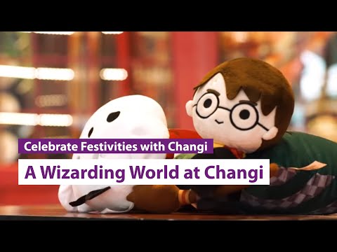 A Wizarding World Holiday at Changi (2018): Event highlights thumnail