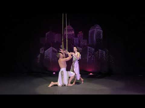 Duo "Extreme" Aerial Straps