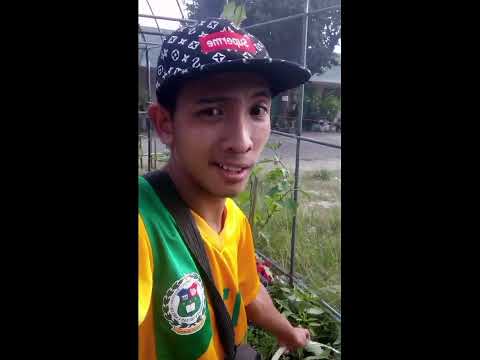 Hi guys welcome to my vlog Naa Ra ko diri sa Medellin National High School.