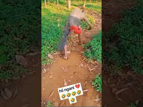 The shocking baboon dance move,,, hii ndio Gani tena?