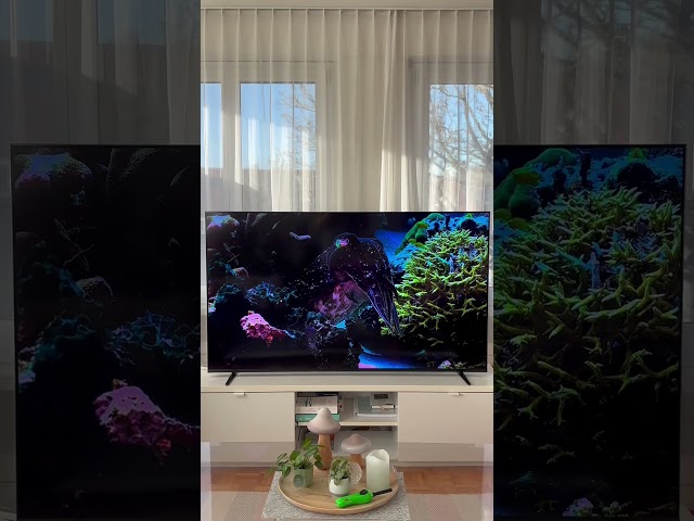Video Teaser für Sony Bravia 7 Test: Kinoartige Farben und Eco-Funktionen von Bianca getestet