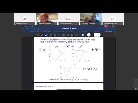 MetaMAT’s 15th webinar - 28.10.2020 - Q&A - Michael I. Weinstein