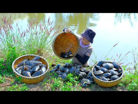 Harvesting GIANT CLAM in pond go to the market sell, Cook some delicious dishes with giant clam.