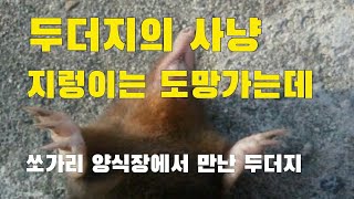 두더지 사냥 지렁이는 도망가는데